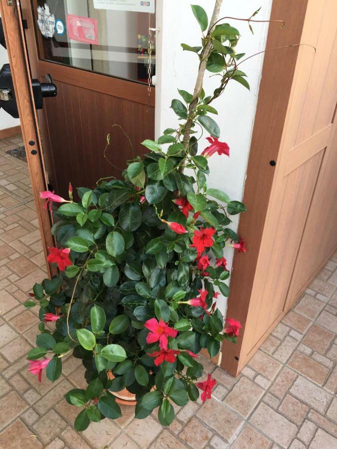 U' Fore B&B Relax Garden Noci Eksteriør billede